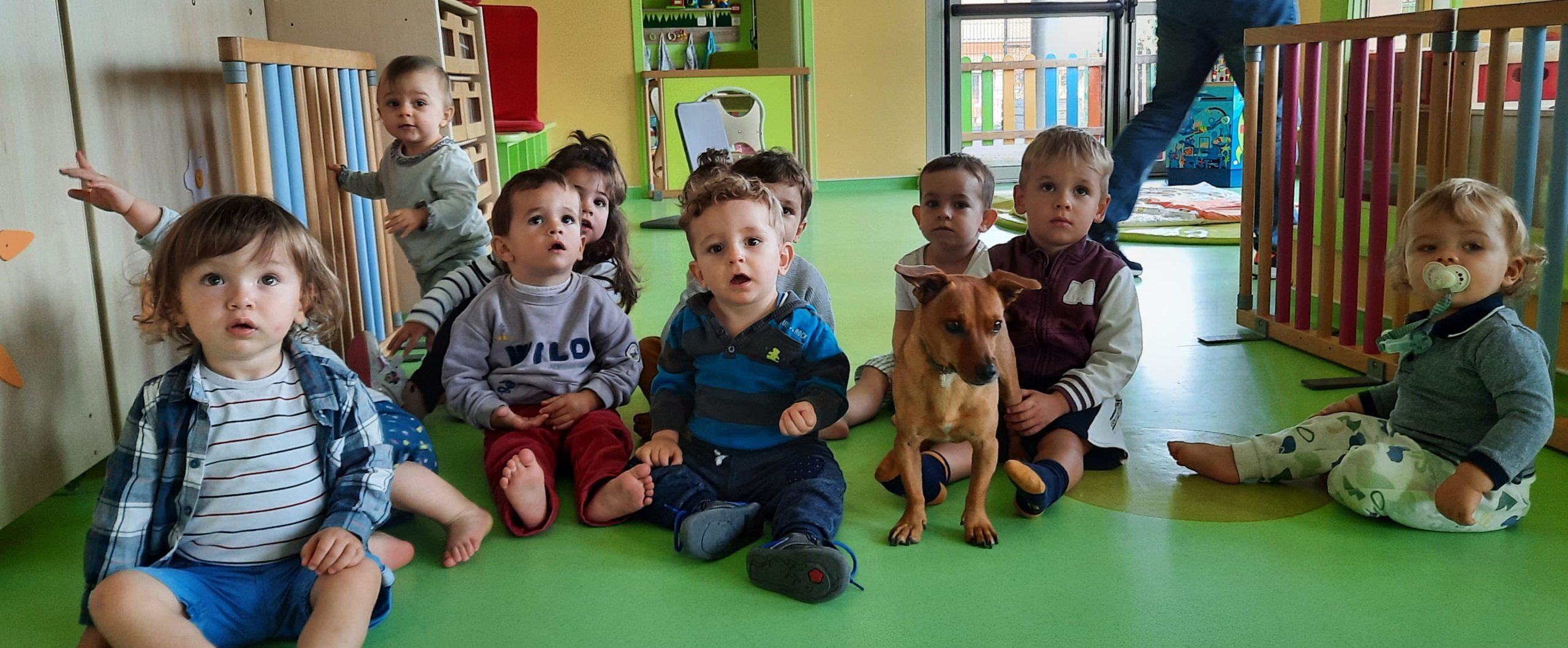 Des enfants sont assis sur le sol vert d'une crèche. Un petit chien est avec eux