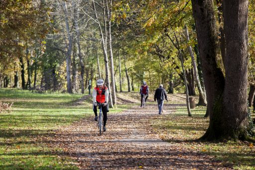Plusieurs cyclistes et un piéton se promènent sur la voie verte dans les bois. C'est l'automne, de nombreuses feuilles jonchent le sol. Le vert et l'orange dominent l'ambiance très apaisée du décor.