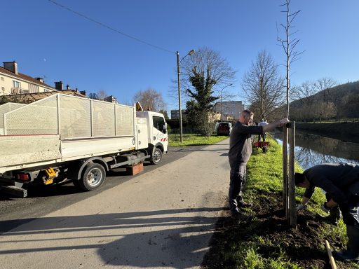 Deux agents du Grand Périgueux se trouvent le long du canal de Périgueux et sont en train de planter un arbre sur la rive. Un camion avec le sigle du Grand Périgueux est stationné à proximité.