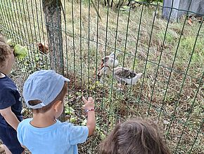 Agrandir l'image (fenêtre modale)