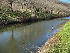Agrandir l'image (fenêtre modale)