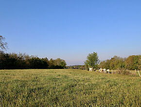 Agrandir l'image (fenêtre modale)