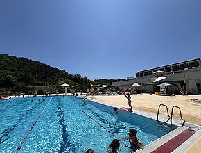 Agrandir l'image (fenêtre modale)