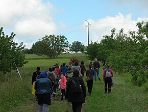 Agrandir l'image (fenêtre modale)