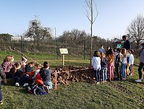 Agrandir l'image (fenêtre modale)