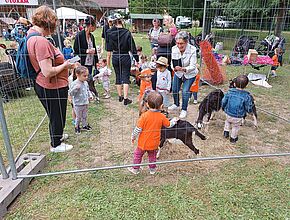 Agrandir l'image (fenêtre modale)