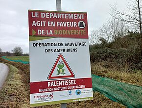 Agrandir l'image (fenêtre modale)