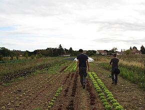 Agrandir l'image (fenêtre modale)