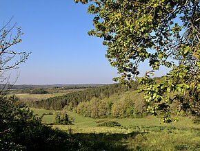 Agrandir l'image (fenêtre modale)