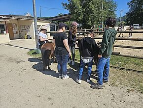 Agrandir l'image (fenêtre modale)