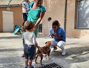 Agrandir l'image (fenêtre modale)