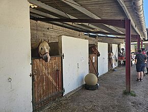 Agrandir l'image (fenêtre modale)