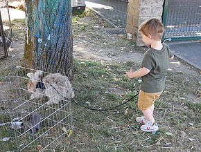 Agrandir l'image (fenêtre modale)