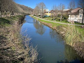 Agrandir l'image (fenêtre modale)