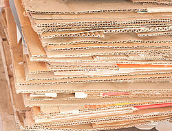 Recycle papers from boxes
