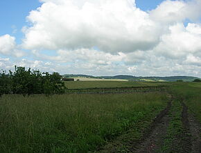 Agrandir l'image (fenêtre modale)