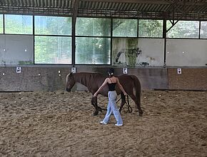 Agrandir l'image (fenêtre modale)