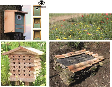 Illustration des aménagements prévus au sein de l’espace vert : nichoirs, hôtel à insectes (ruche), prairie fleurie, 